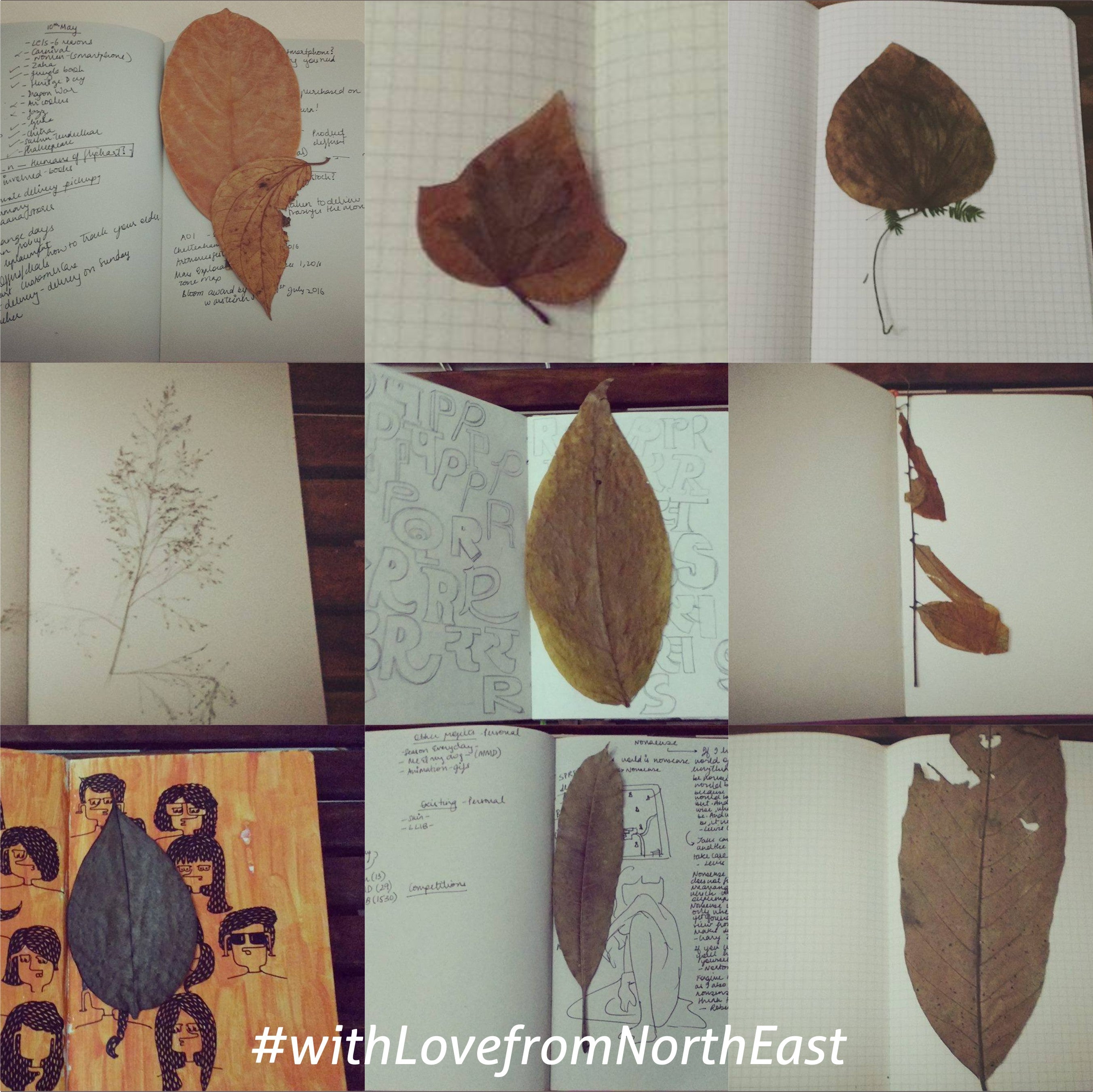 Sadhna Prasad - Artist