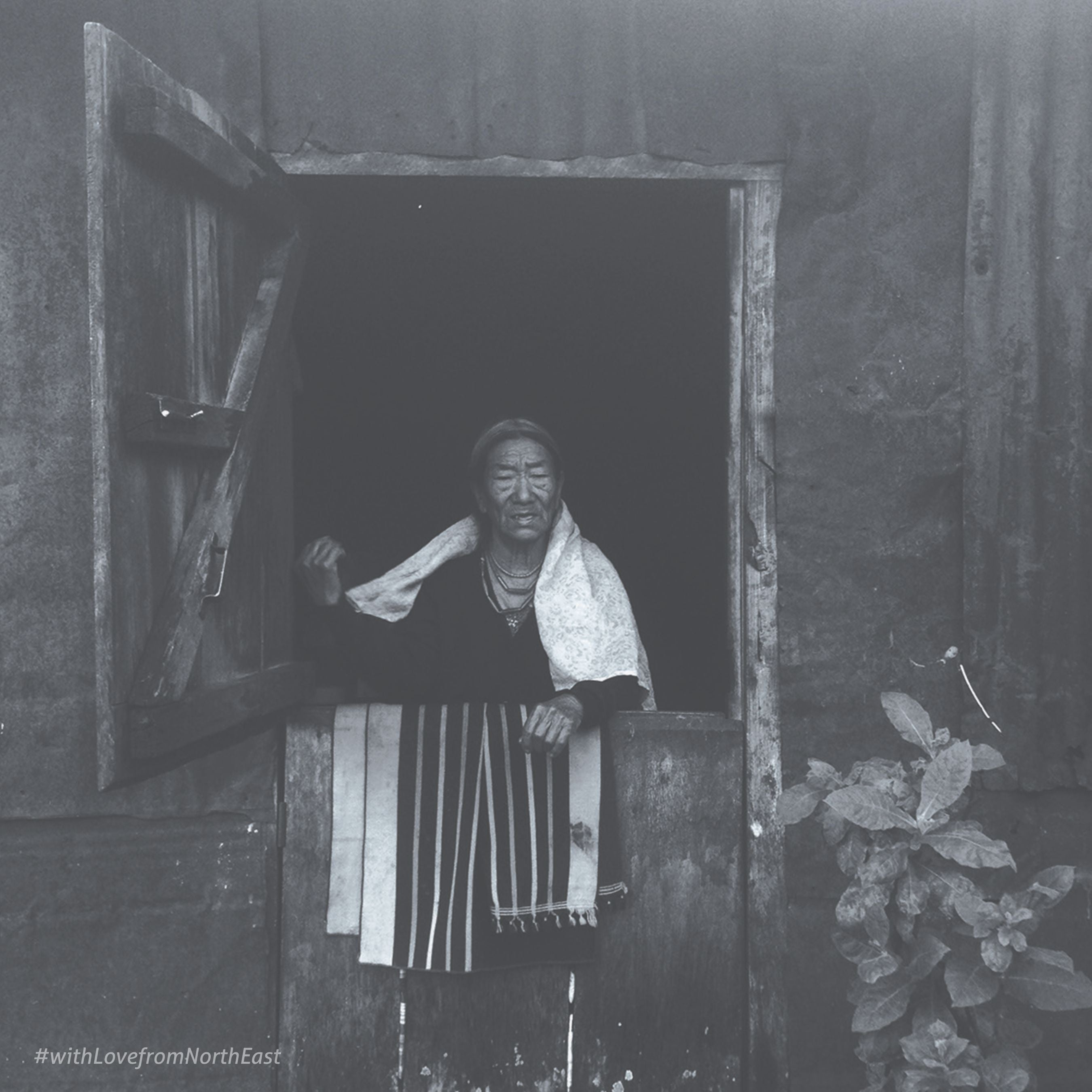 Tosha Jagad - Illustrator