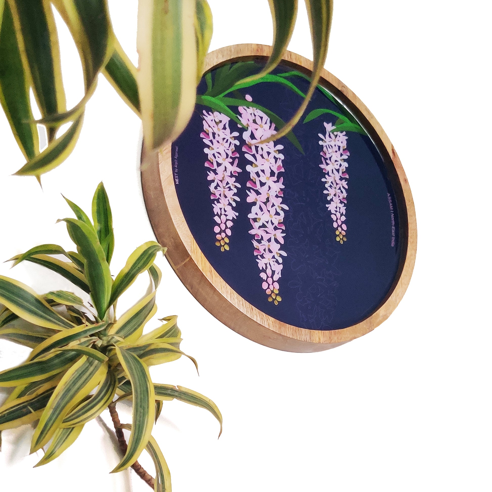 Foxtail Orchid of Assam Wooden Wall Decor Plate