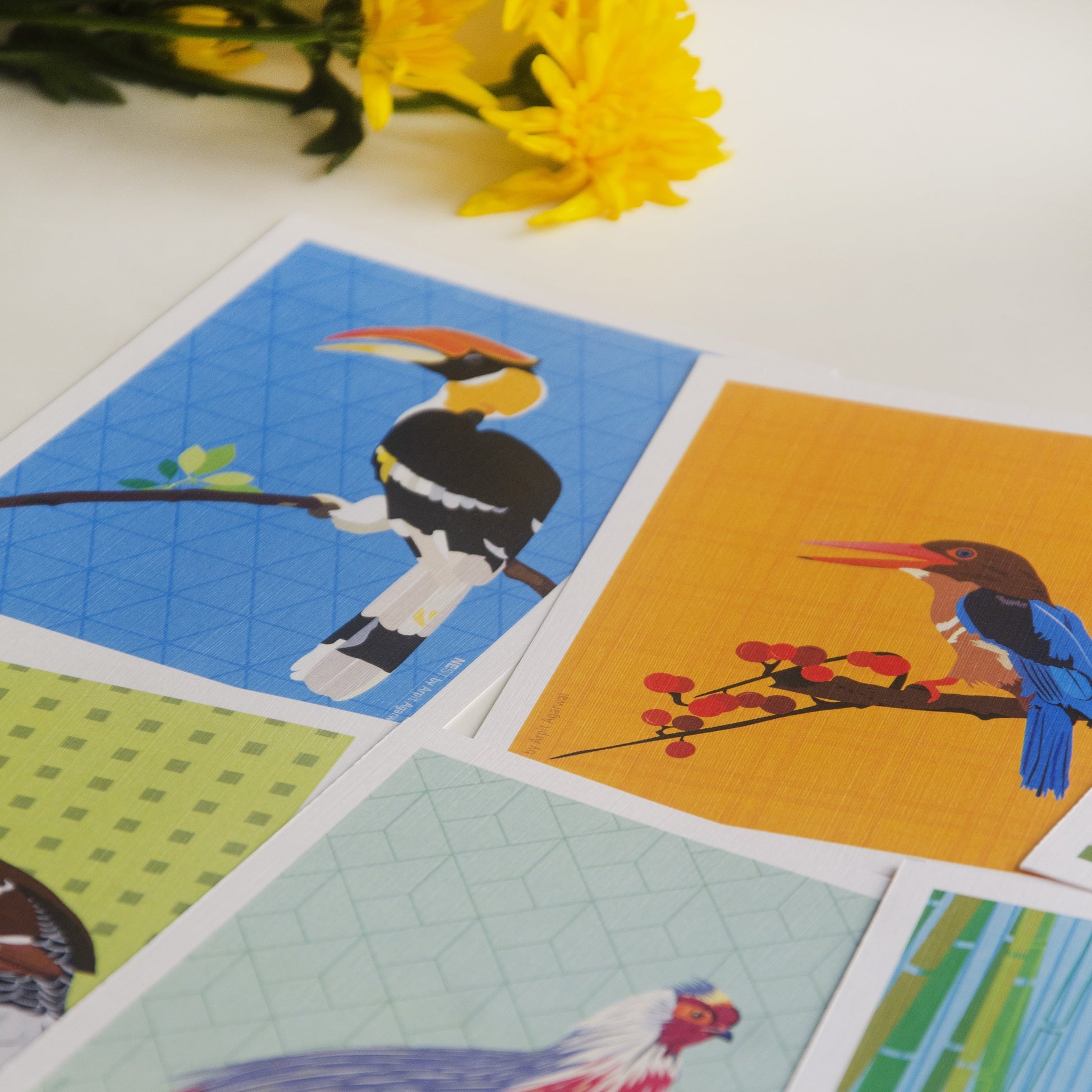 North-East Birds Collection Postcards - Set of 8 - NEST by Arpit Agarwal