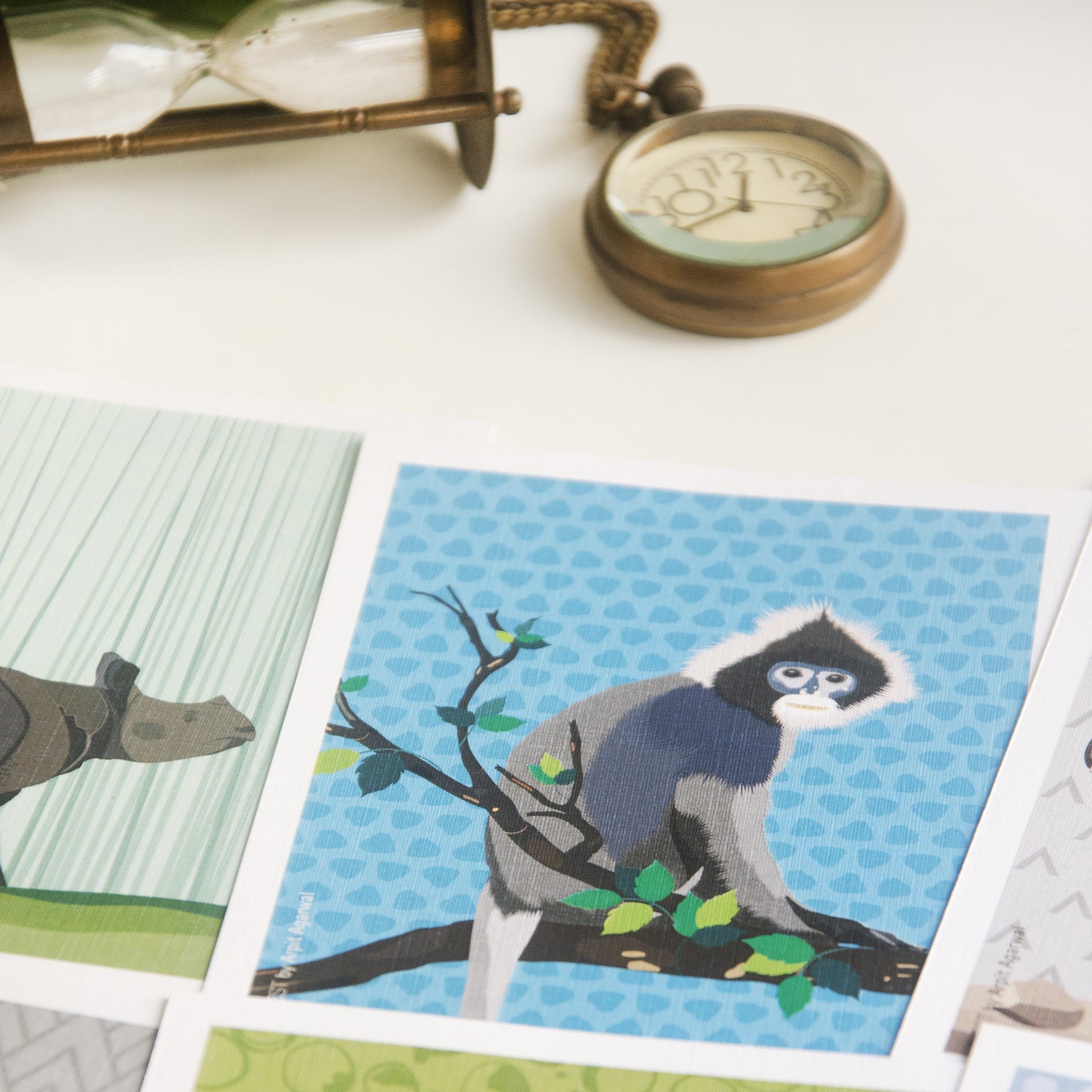 North-East Fauna Collection Postcards - Set of 8 - NEST by Arpit Agarwal