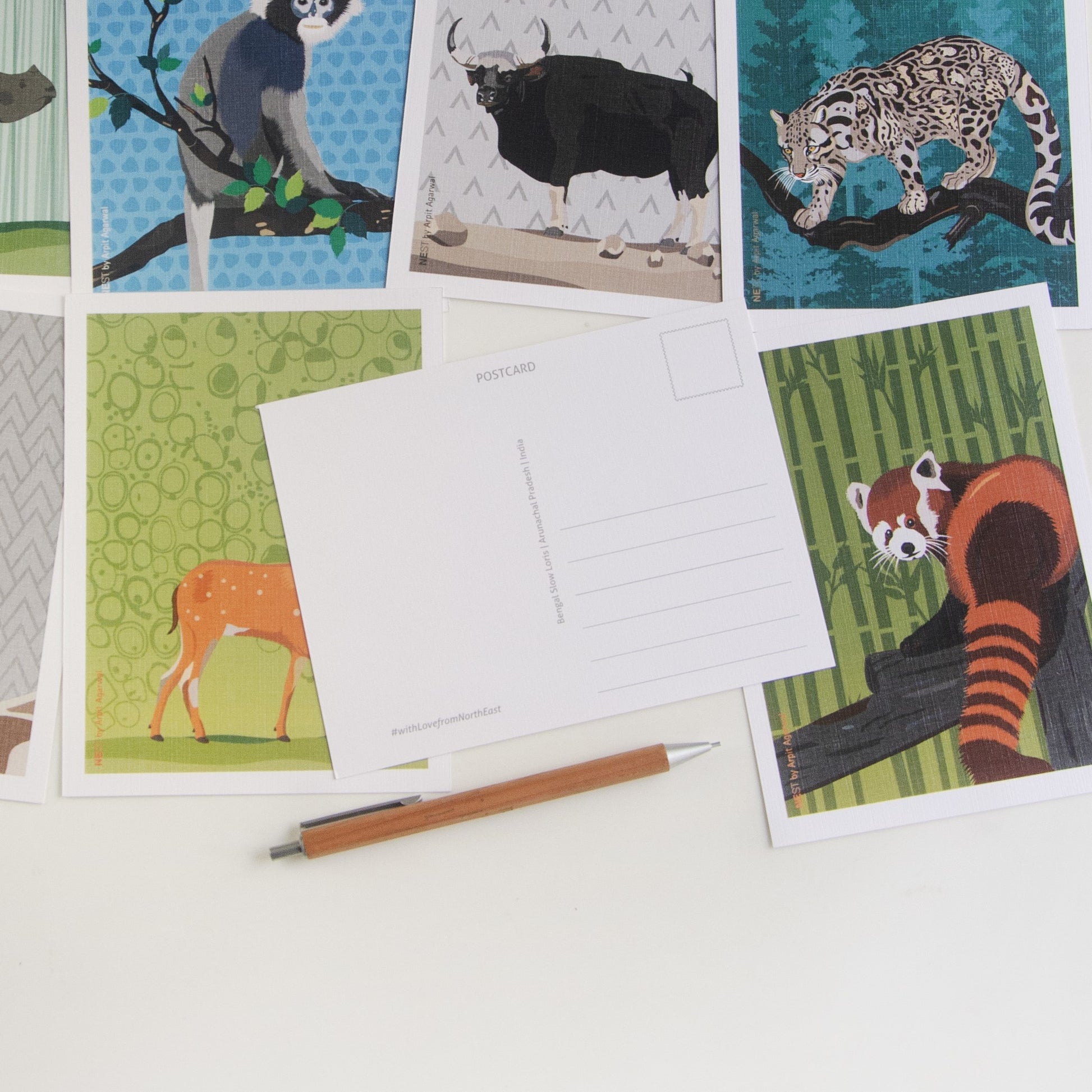 North-East Fauna Collection Postcards - Set of 8 - NEST by Arpit Agarwal