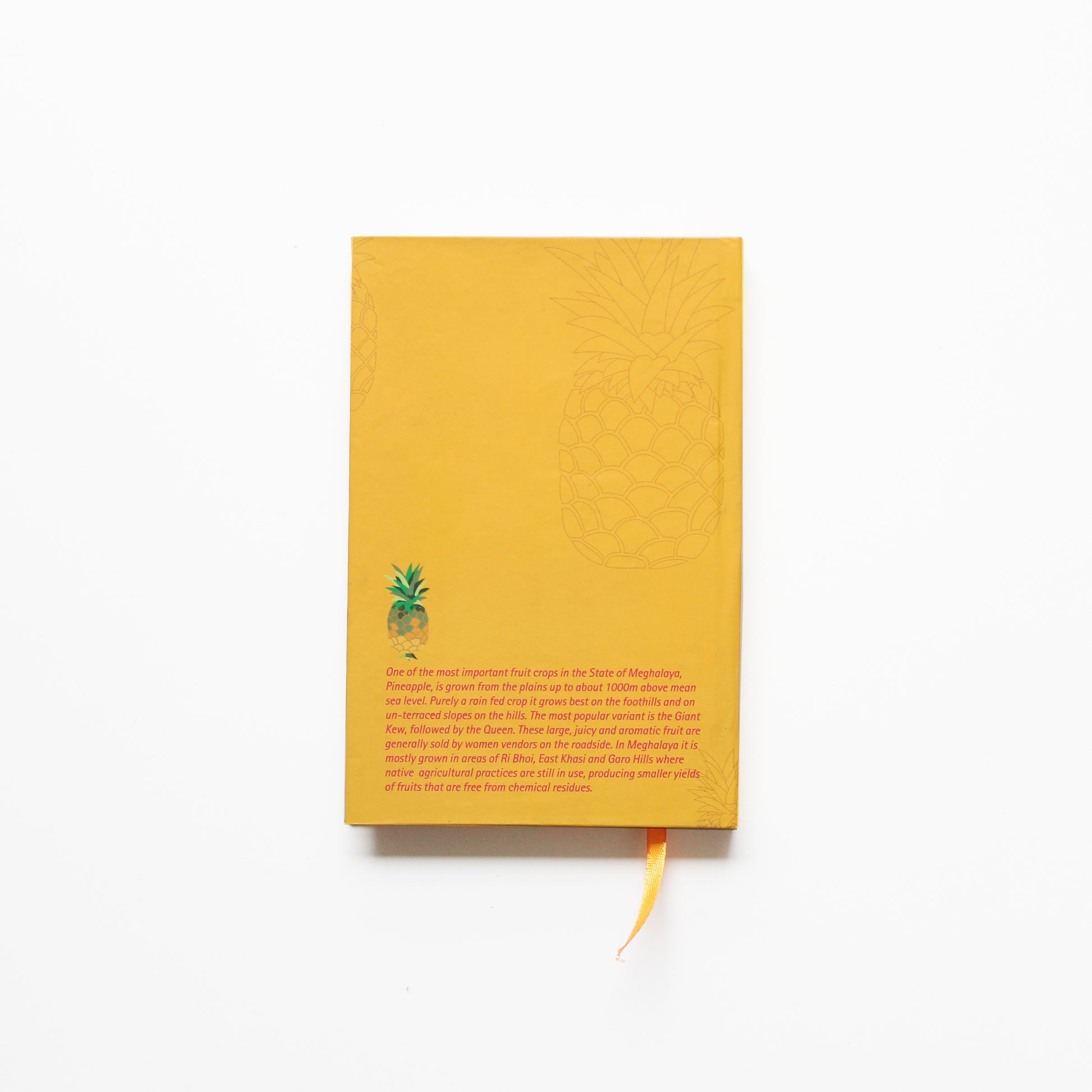 Meghalaya Pineapple Pattern Pink Notebook