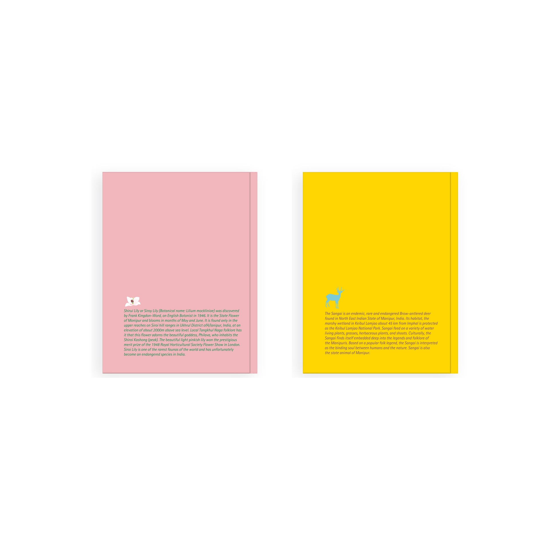 Inspired by Symbols of Manipur Notebook (Small) - Set of 2