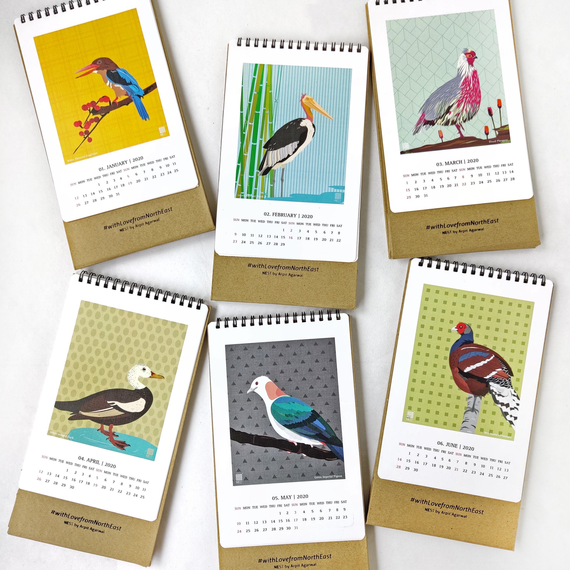 Birds Collection - NEST by Arpit Agarwal