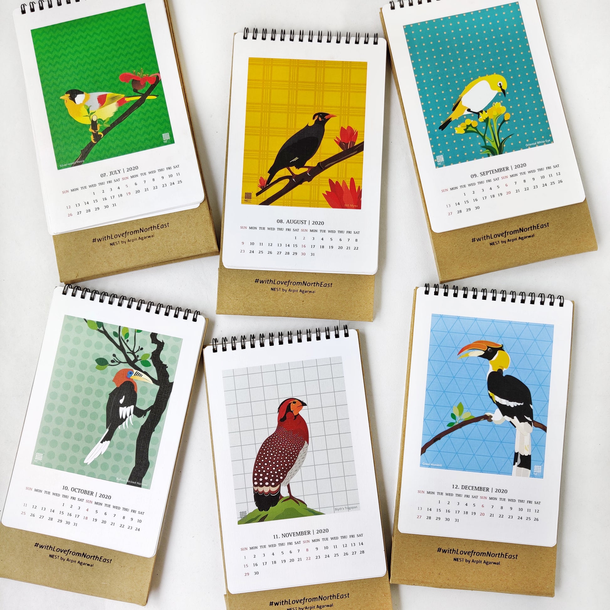 Birds Collection - NEST by Arpit Agarwal