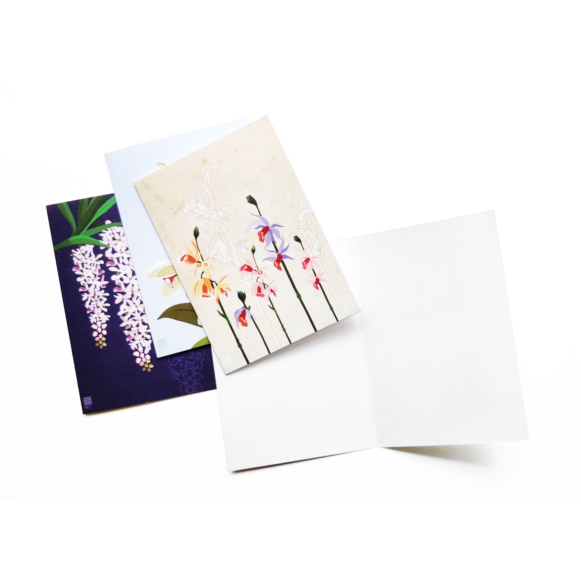 Orchids Collection - Set of 4 - NEST by Arpit Agarwal