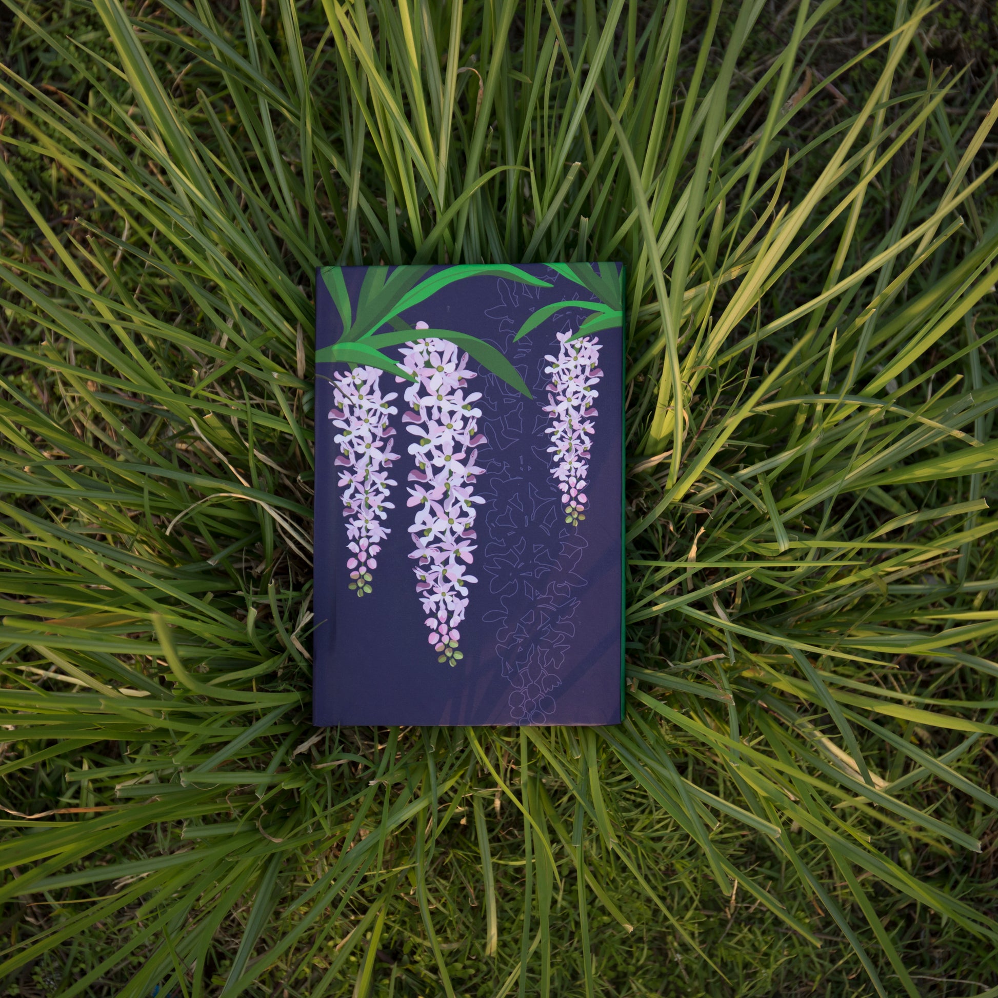 Foxtail Orchid - NEST by Arpit Agarwal