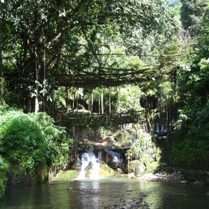 Meghalaya’s Hidden Gem: The Breathtaking Double Decker Root Bridge