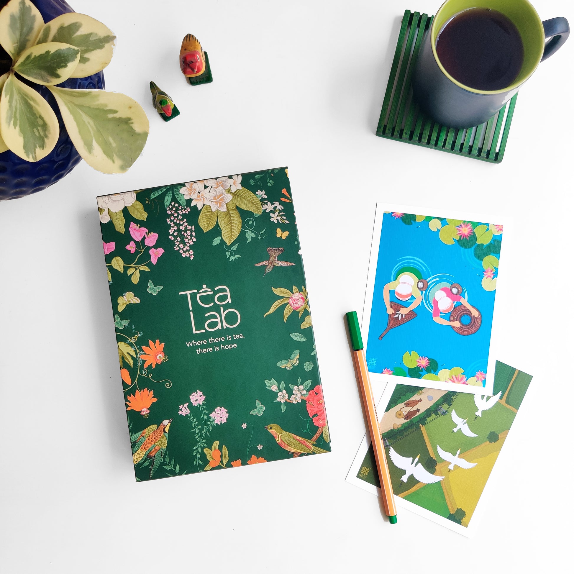 Where the Parakeets Sing (Green) Tea Gift Set