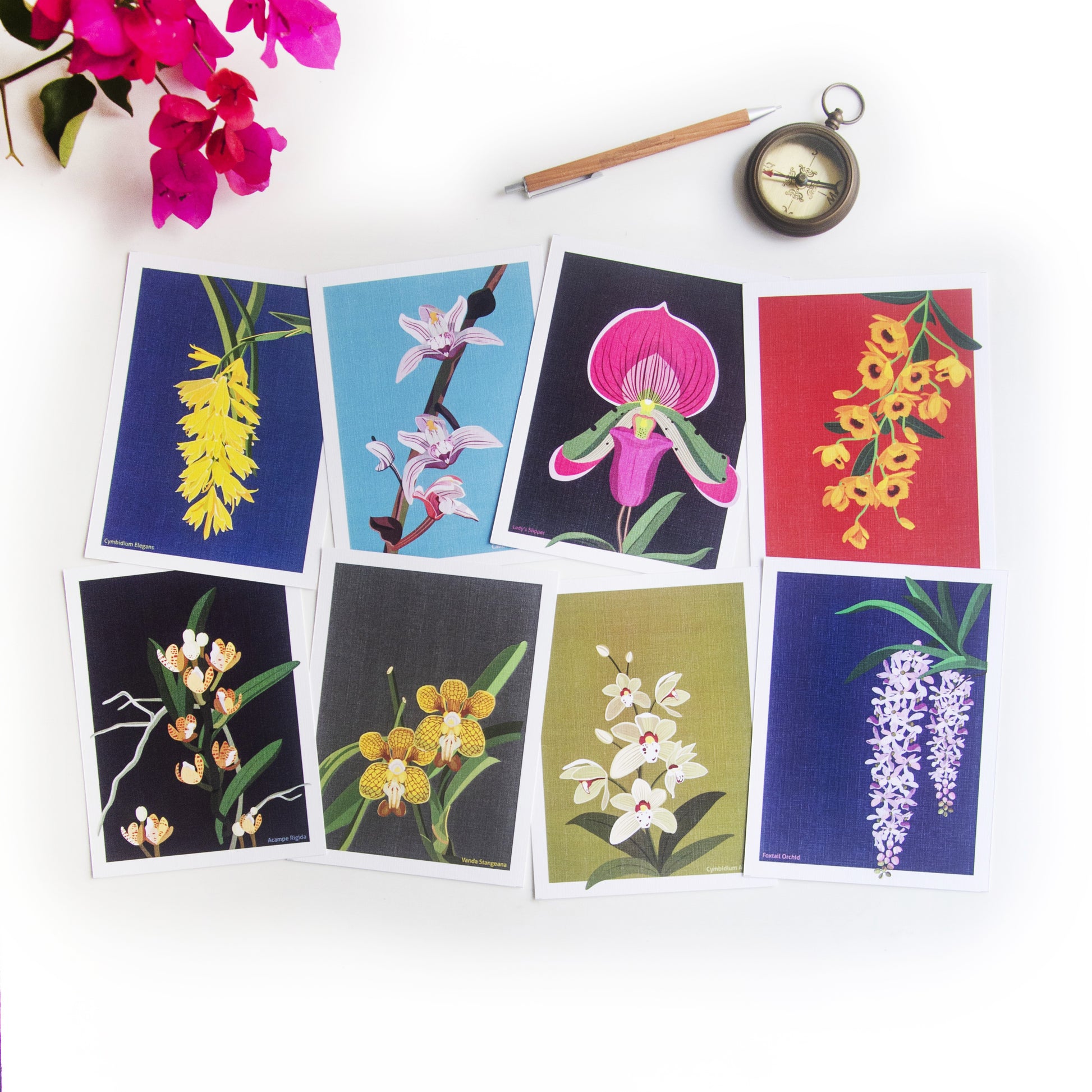 North-East Orchids Collection Postcards - Set of 8
