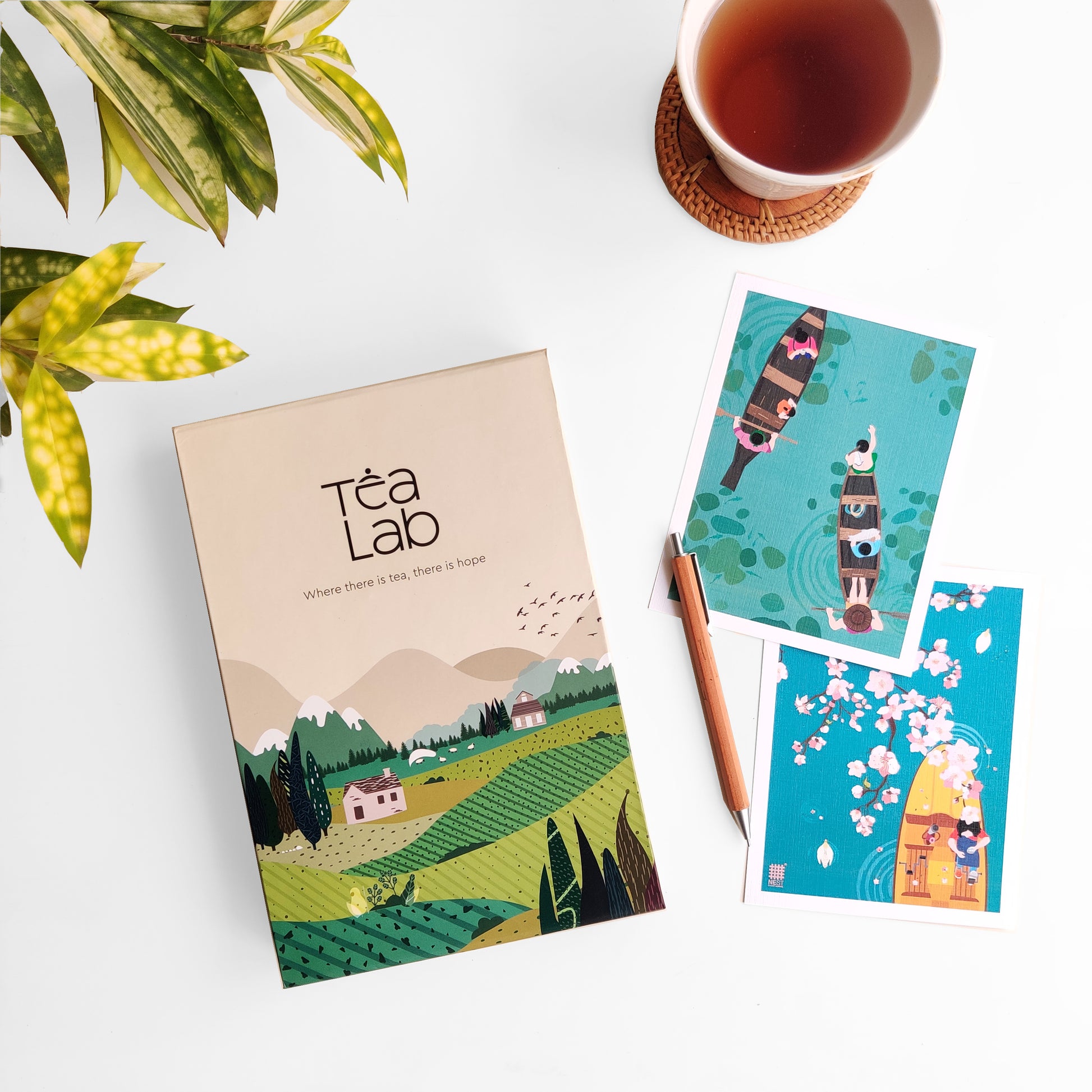 Dreamscape - Mountain Boxes Tea Gift Set