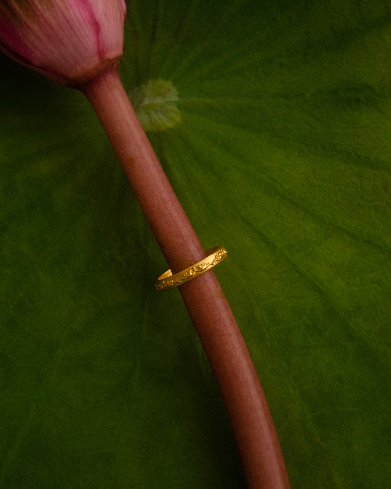 Bok Ring