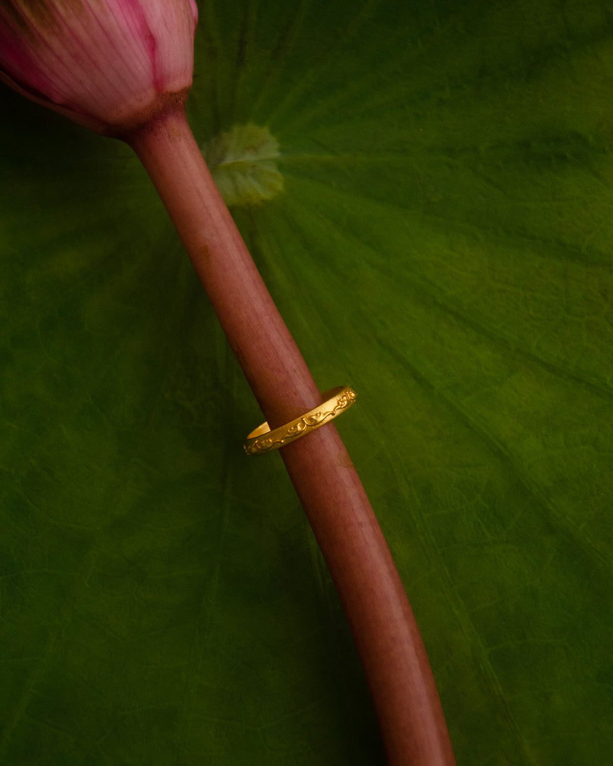 Bok Ring - NEST by Arpit Agarwal