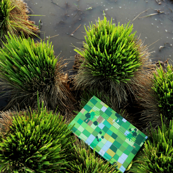 Assam Expansive Paddy Fields Notebook