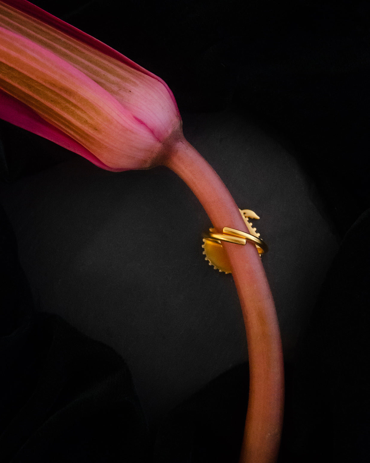 Rak Ring
