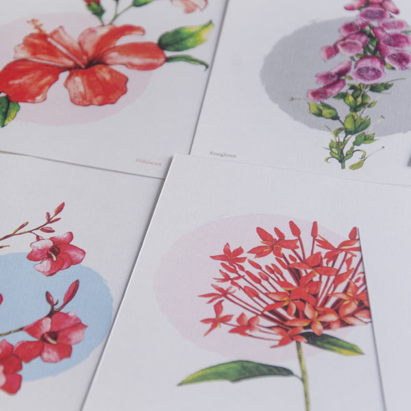 Botanicals - Water Colour Collection Postcards - Set of 8