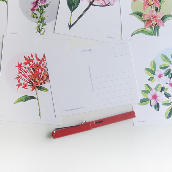 Botanicals - Water Colour Collection Postcards - Set of 8