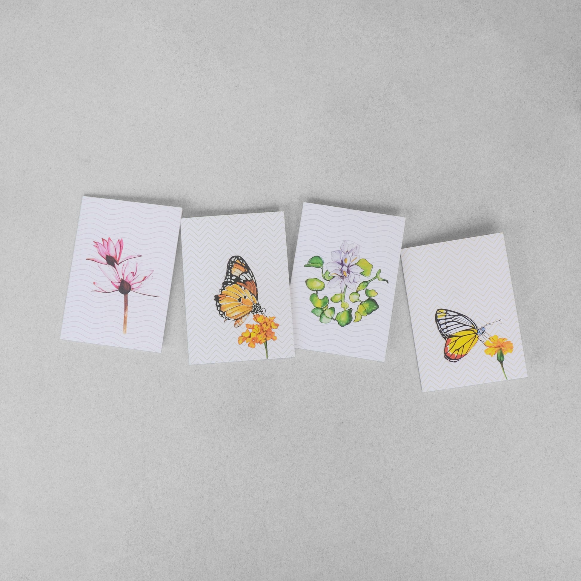 Water Colour Collection Greeting Cards - Set of 4 - NEST by Arpit Agarwal