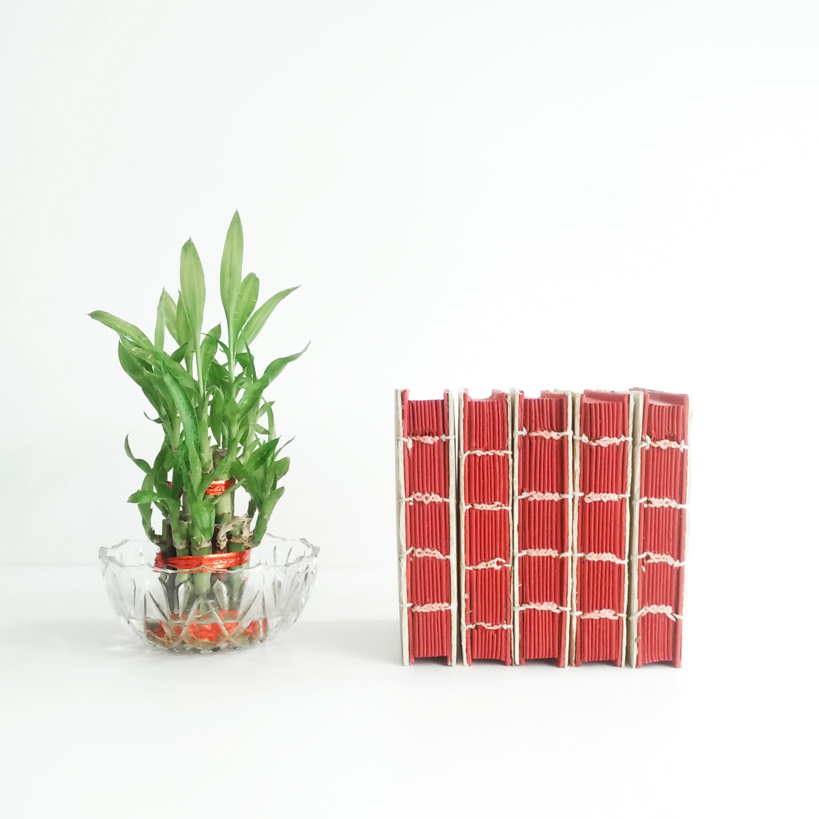 Tamul Natural Cover Plain Notebook - Red