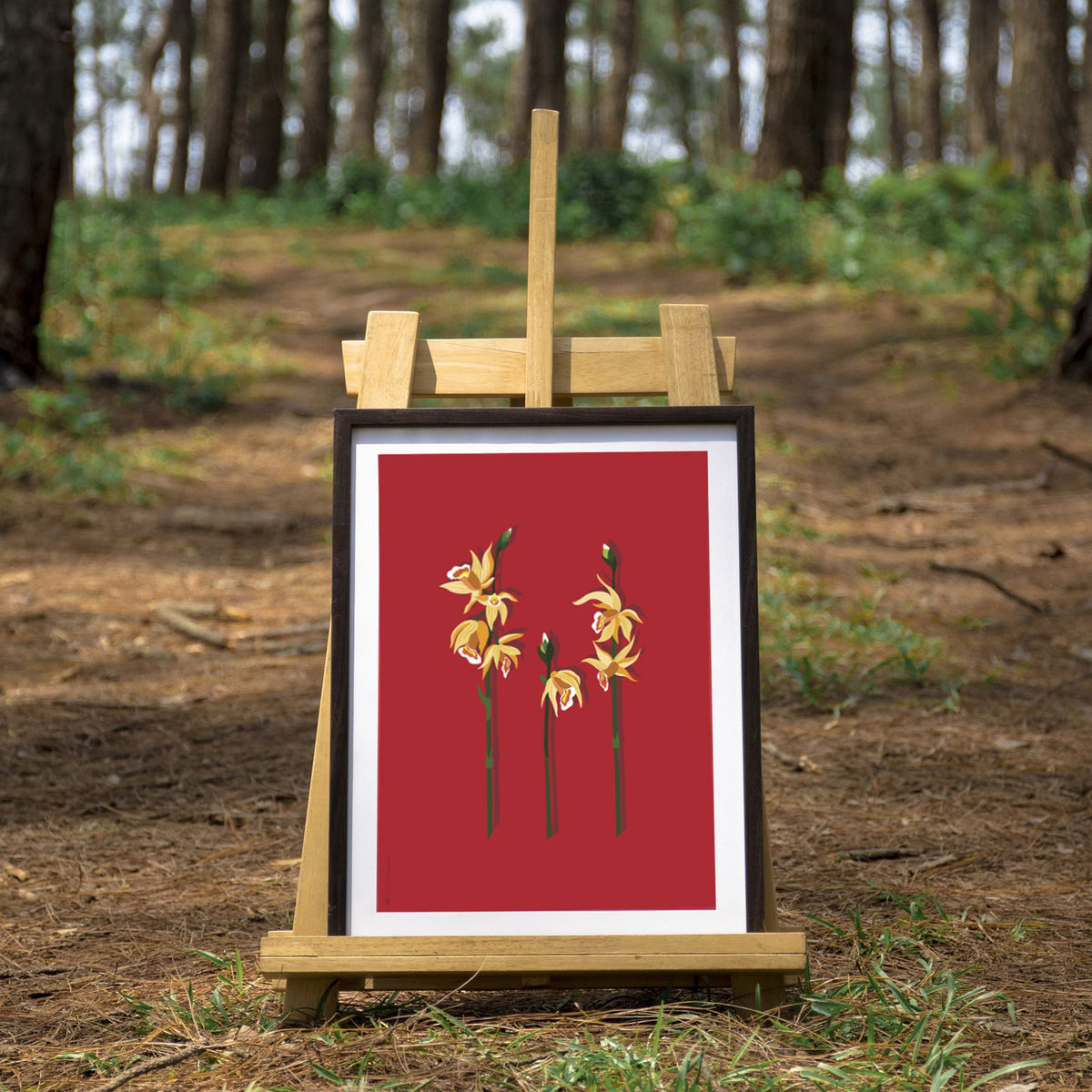 Phaius Tankervilleae - Print Only - NEST by Arpit Agarwal