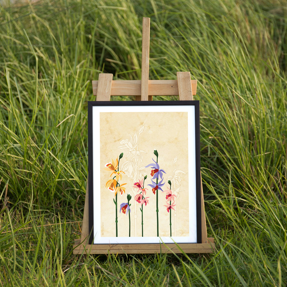 Phaius Tankervilleae 2 - Print Only - NEST by Arpit Agarwal