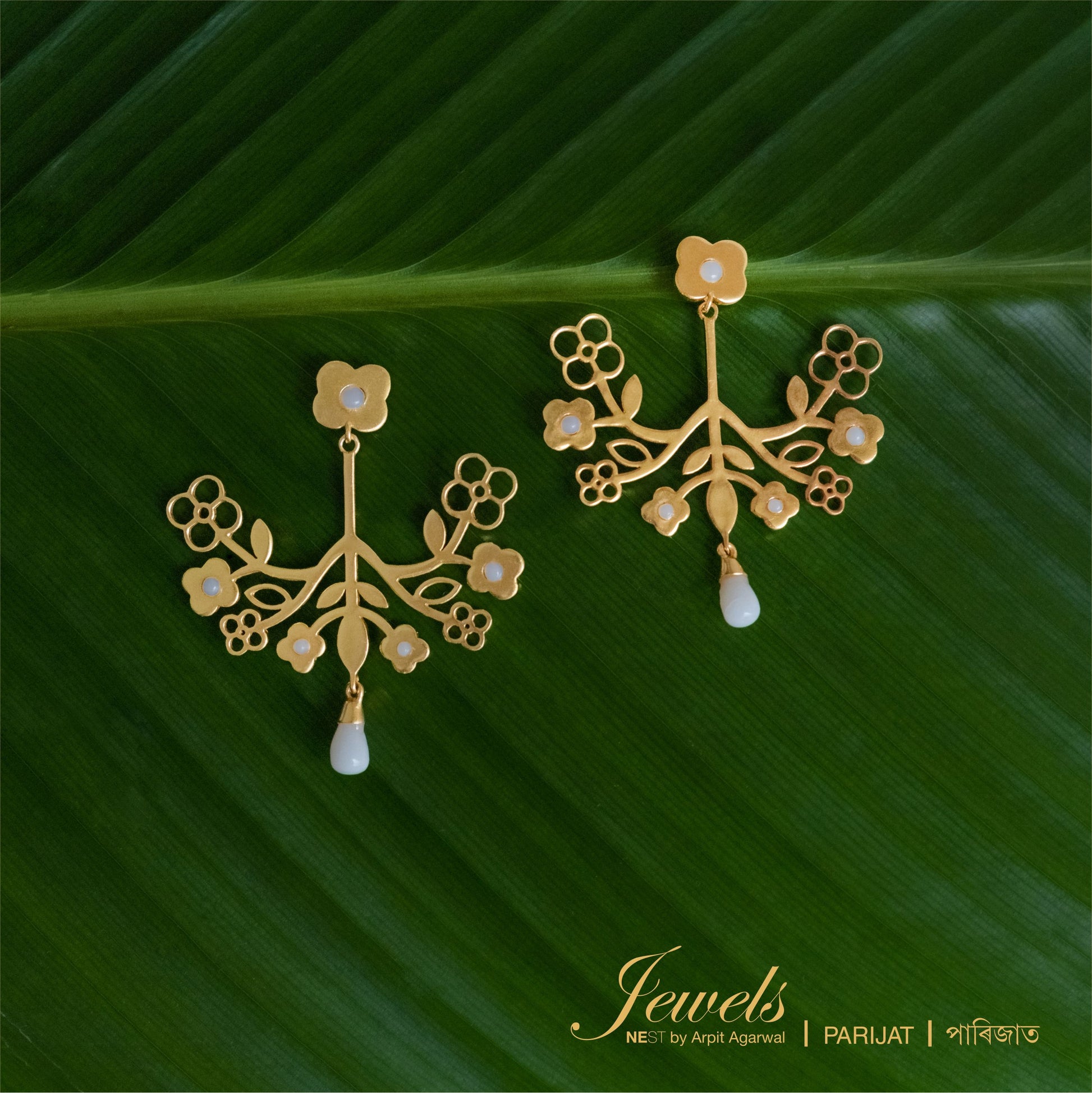 Parijat - NEST by Arpit Agarwal