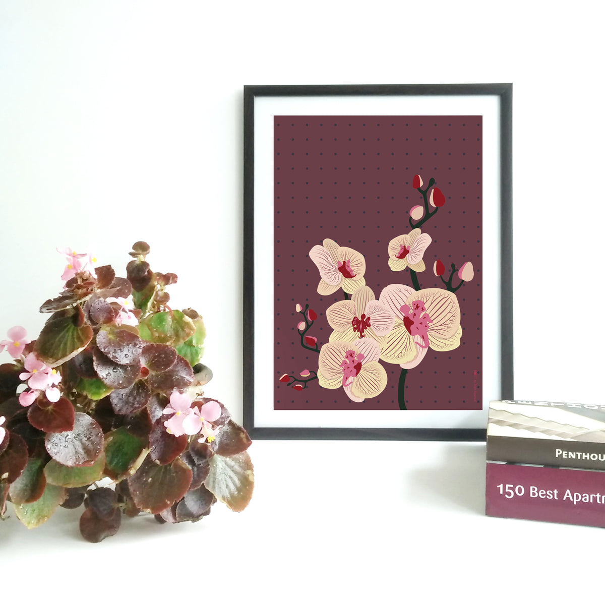 Phalaenopsis - Print Only - NEST by Arpit Agarwal