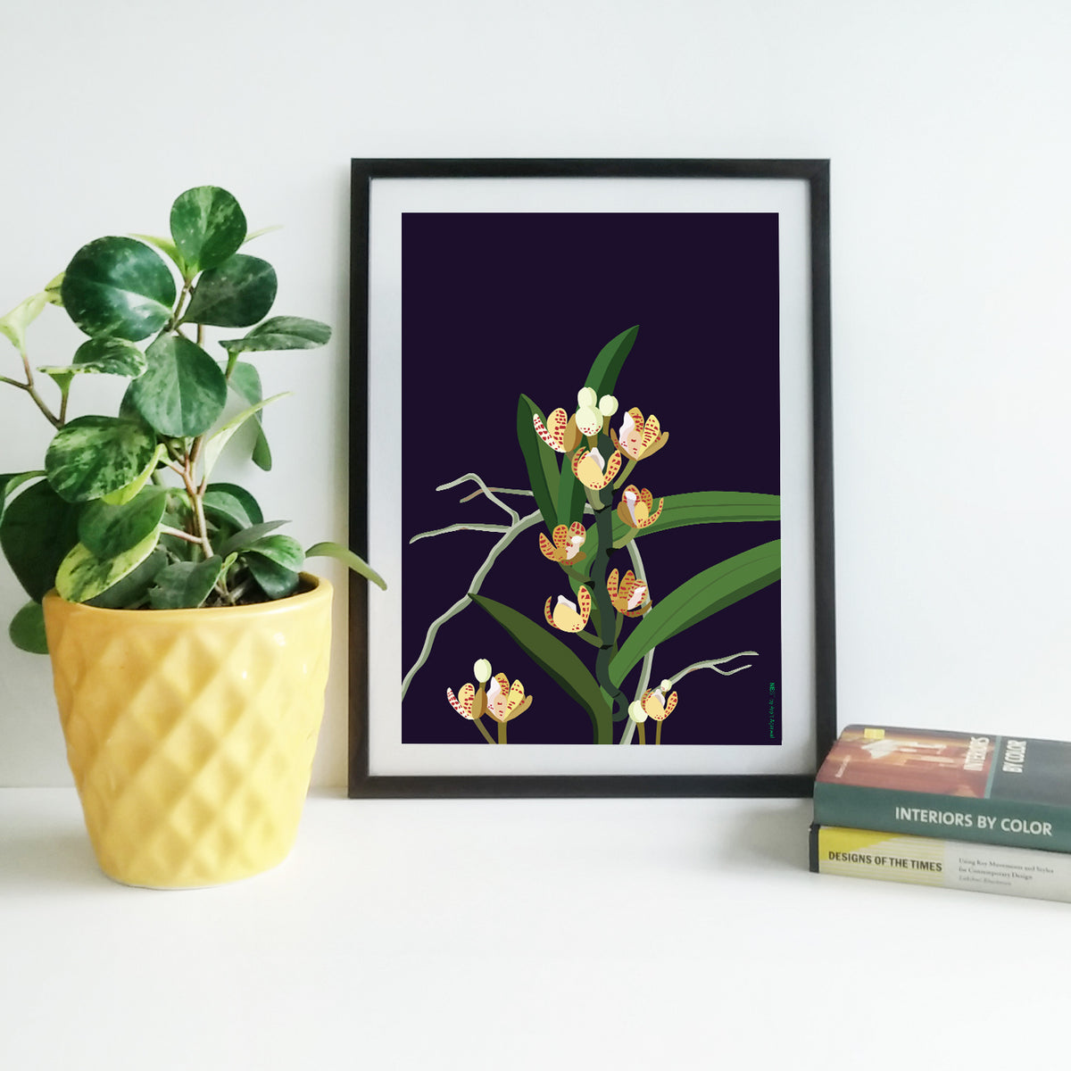 Acampe Rigida _ Print Only - NEST by Arpit Agarwal