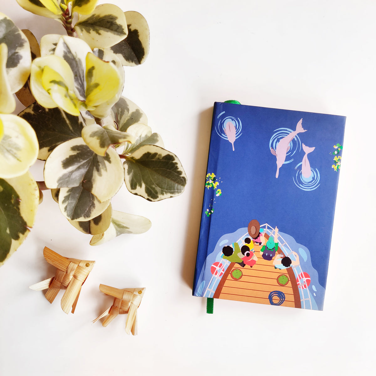 Rare River Dolphins of Brahmaputra - NEST by Arpit Agarwal