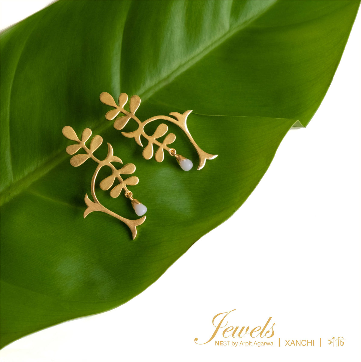 Xanchi - NEST by Arpit Agarwal