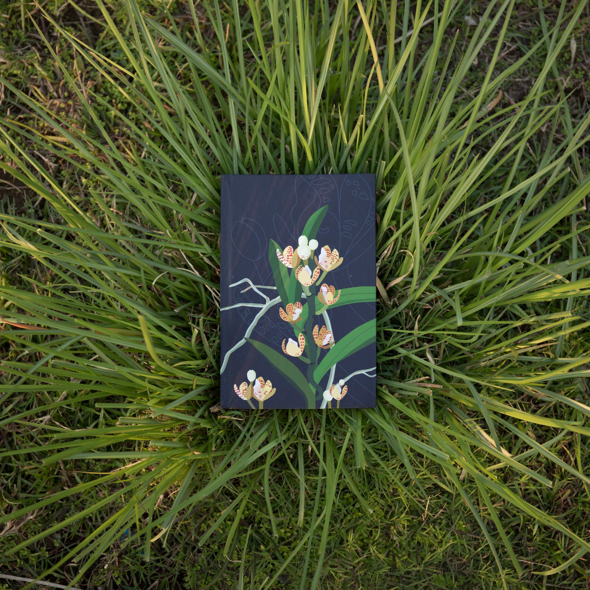 Acampe Rigida - NEST by Arpit Agarwal