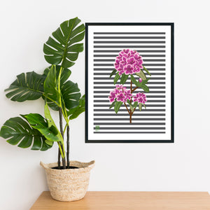 Rhododendron Grey - Print Only - NEST by Arpit Agarwal
