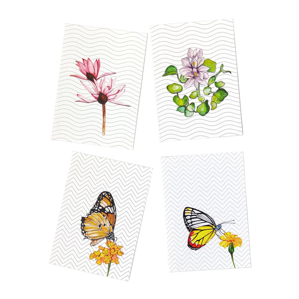 Water Colour Collection Greeting Cards - Set of 4