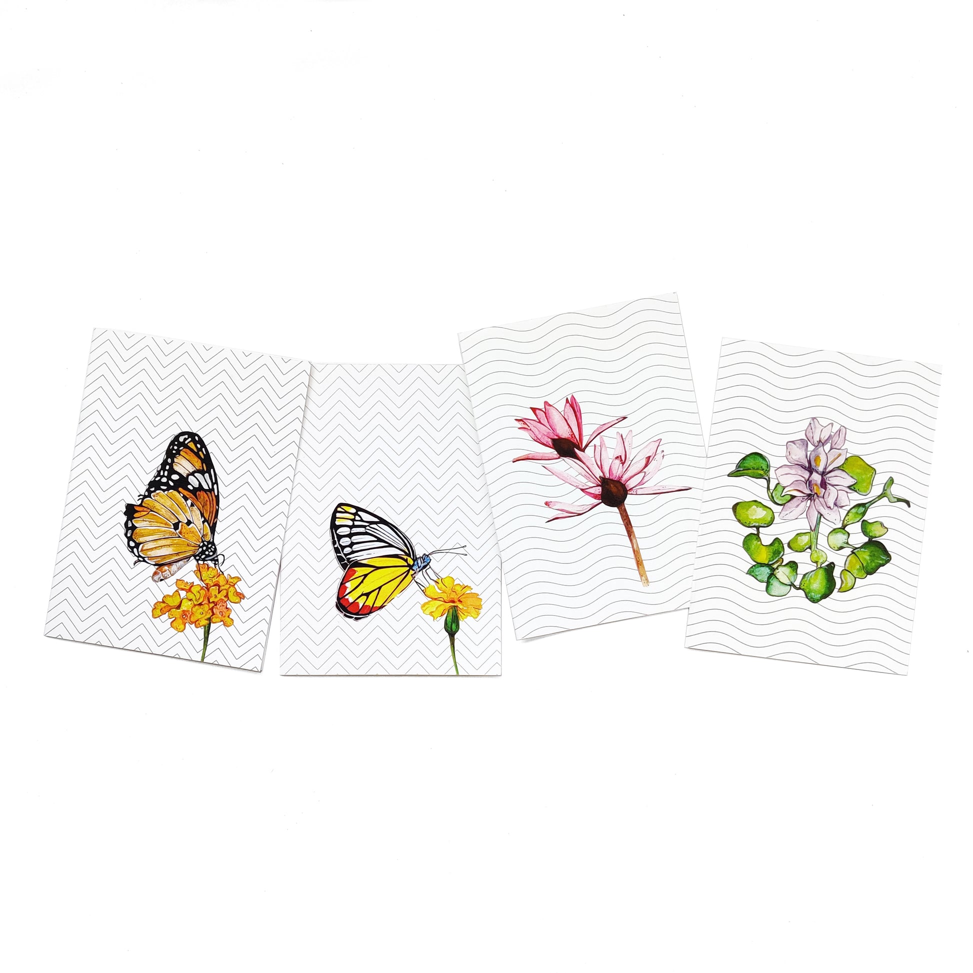 Water Colour Collection Greeting Cards - Set of 4